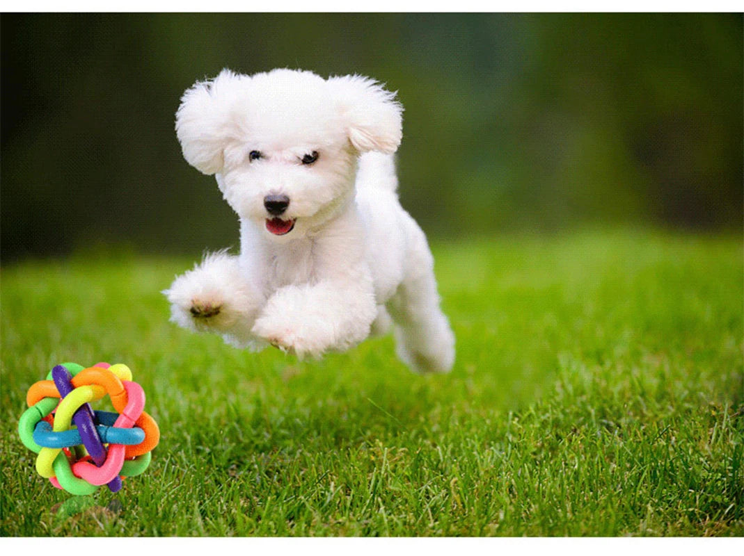 Bell Woven Dog Toy Bite Resistant Rubber Chew Ball
