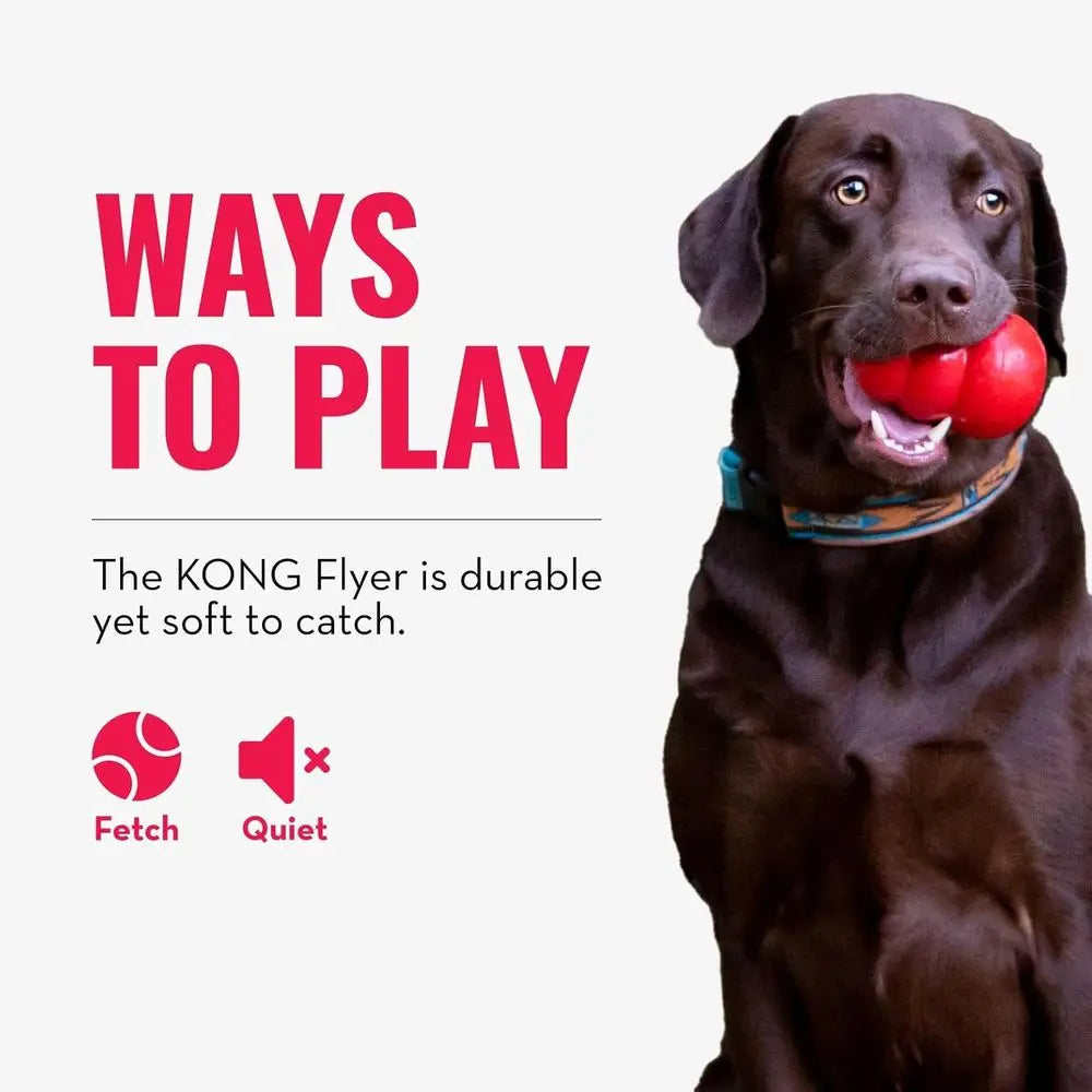 Durable Natural Rubber Disc Dog Toy For Safe Chewing And Fetch