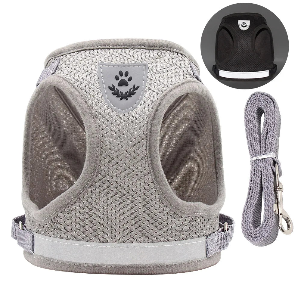 Breathable Cat Harness With Leash Anti Escape Vest For Kitten