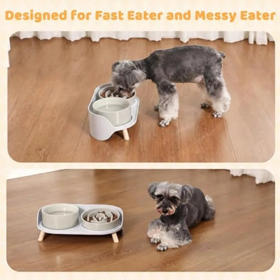 Elevated Slow Feeder Dog Bowls Ceramic Set With Stand