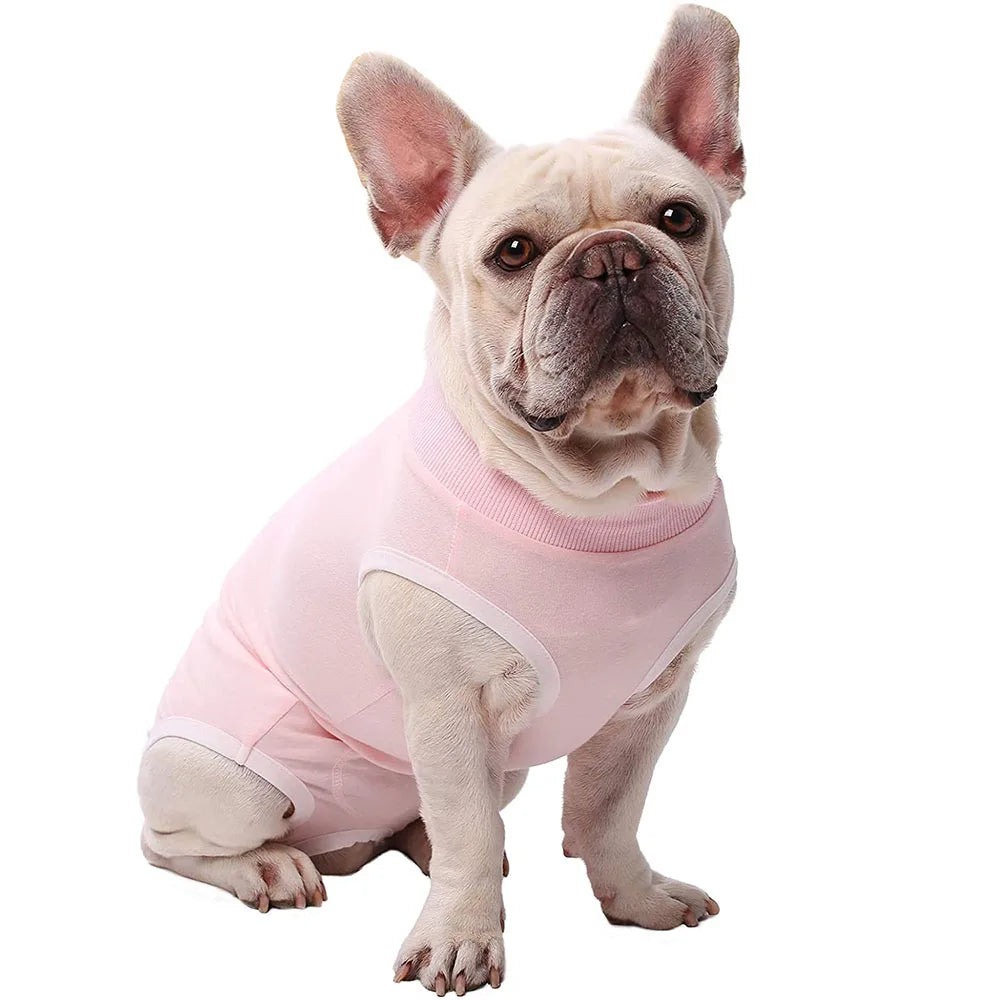 Breathable Dog Recovery Vest And E-Collar For Surgical Healing