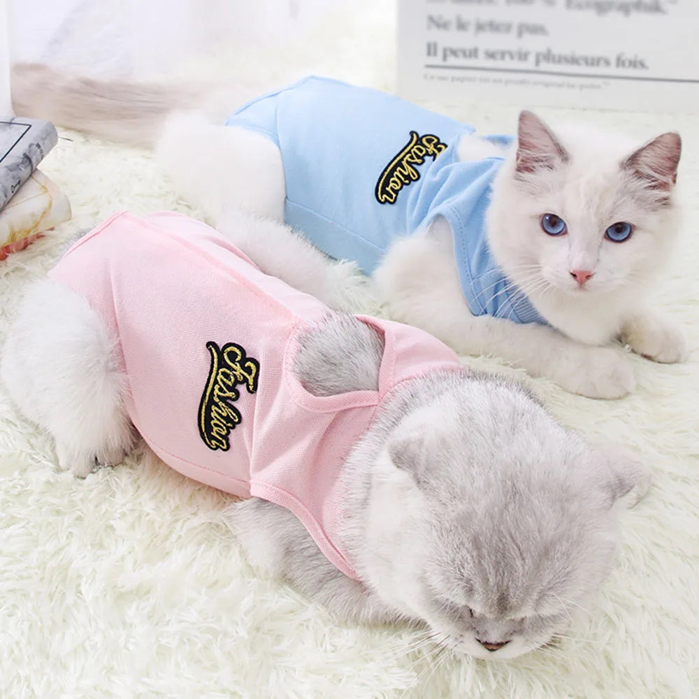 Breathable Dog Recovery Vest And E-Collar For Surgical Healing