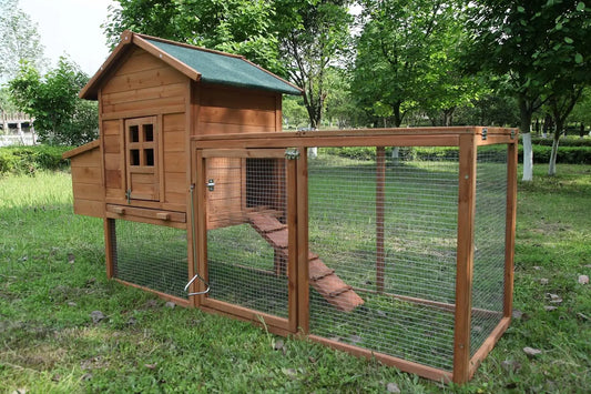 Wooden Outdoor Chicken Coop For Two To Four Chickens With Ramp