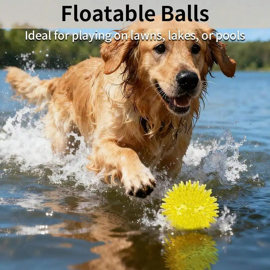 Squeaky Spiky Dog Balls Teething Puppy Toys Floating Pool Ball