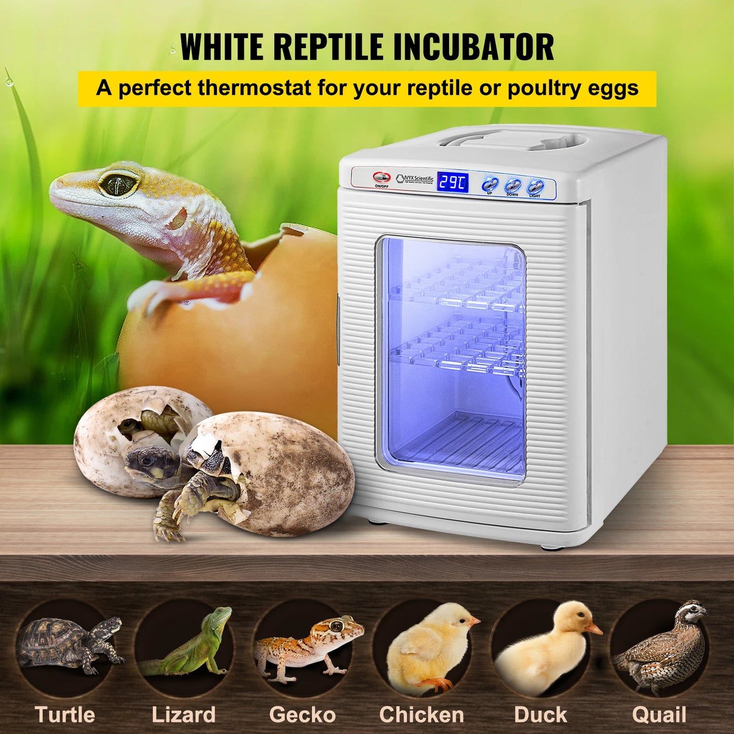 Reptile Incubator Automatic Egg Hatchery for Snakes and Turtles