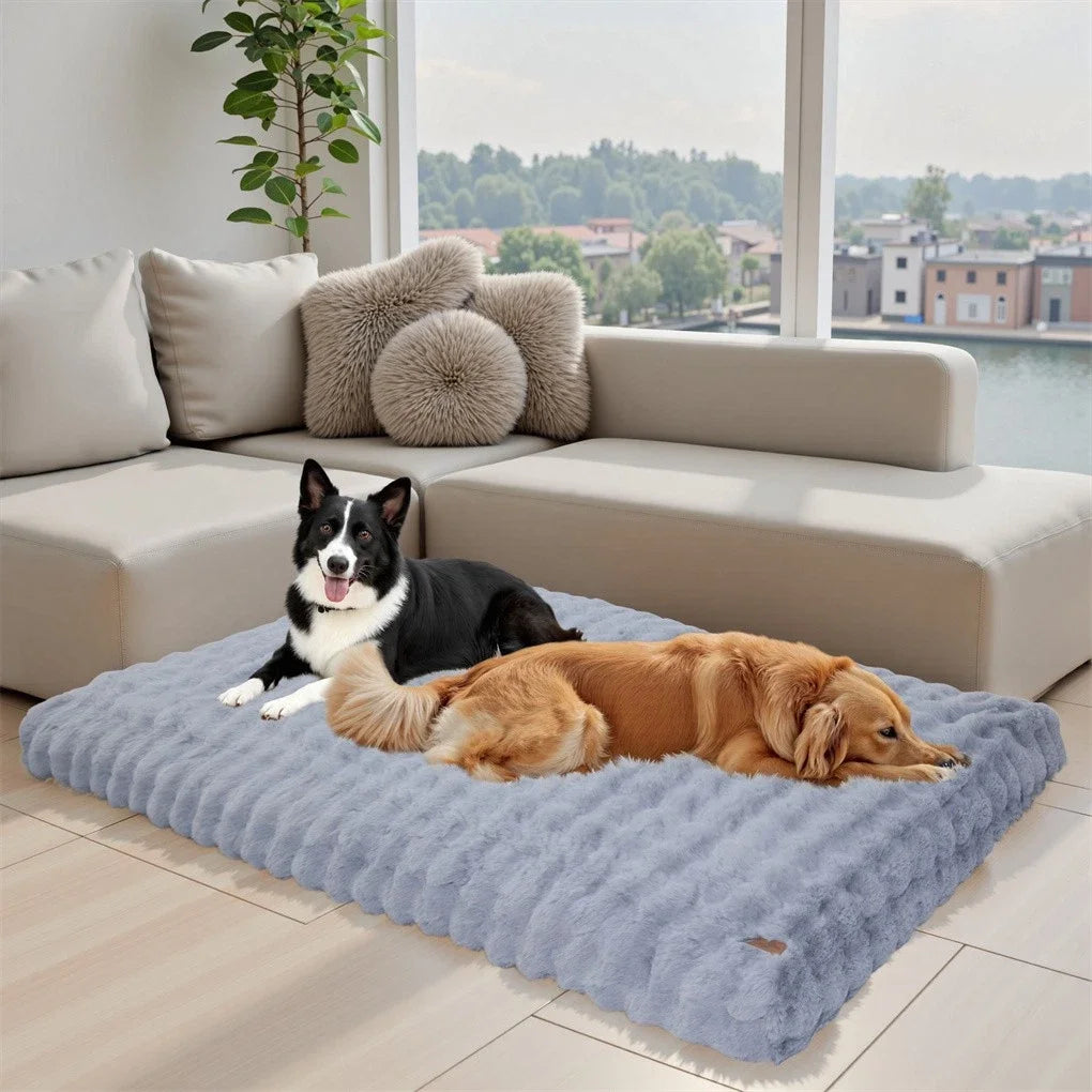 BINGOPAW Ultra Soft Dog Bed With Removable Cover For Pets