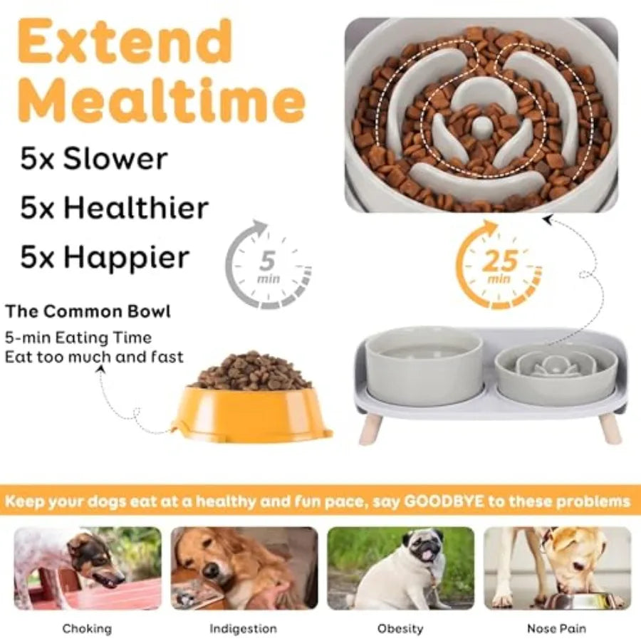 Elevated Slow Feeder Dog Bowls Ceramic Set With Stand