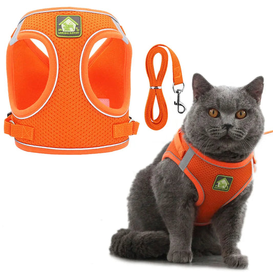 Breathable Cat Harness With Leash Anti Escape Vest For Kitten