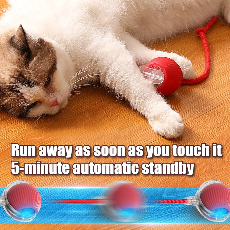 Automatic Rolling Ball Cat Toy With Fake Tail Rechargeable Interactive