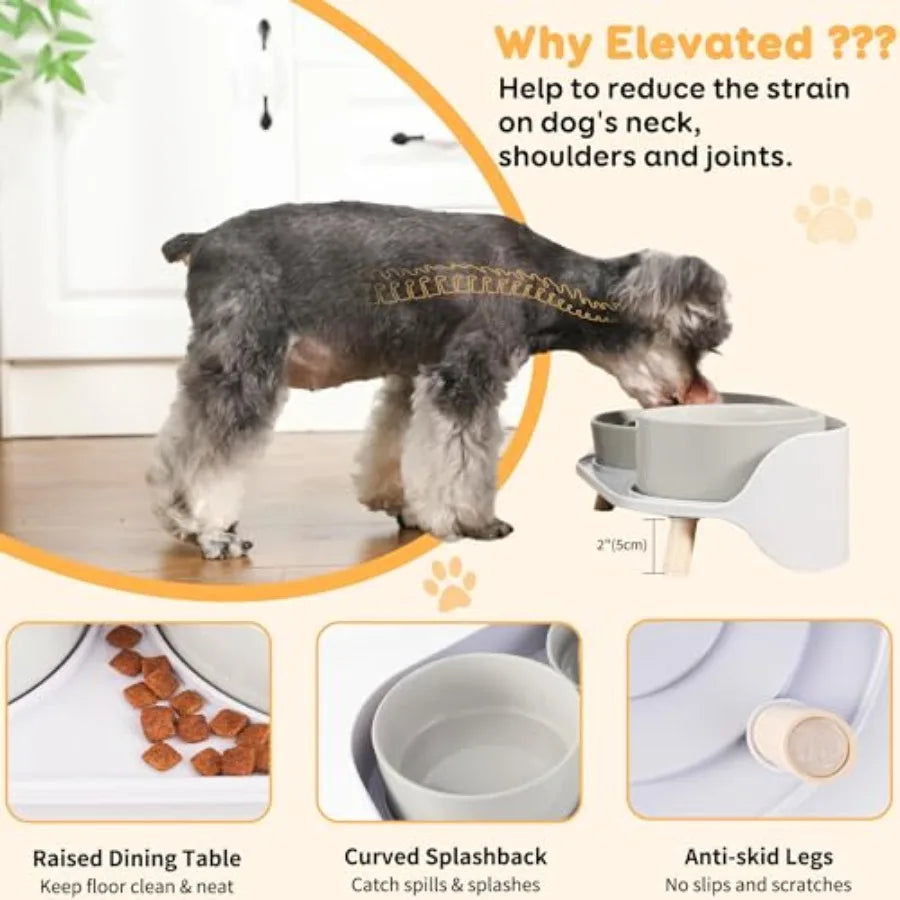 Elevated Slow Feeder Dog Bowls Ceramic Set With Stand