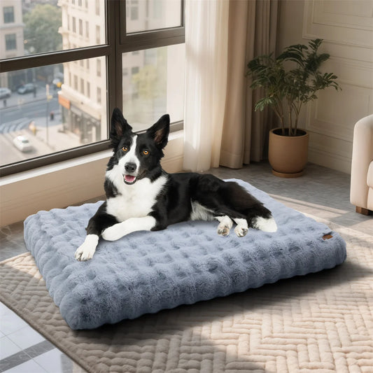 BINGOPAW Ultra Soft Dog Bed With Removable Cover For Pets