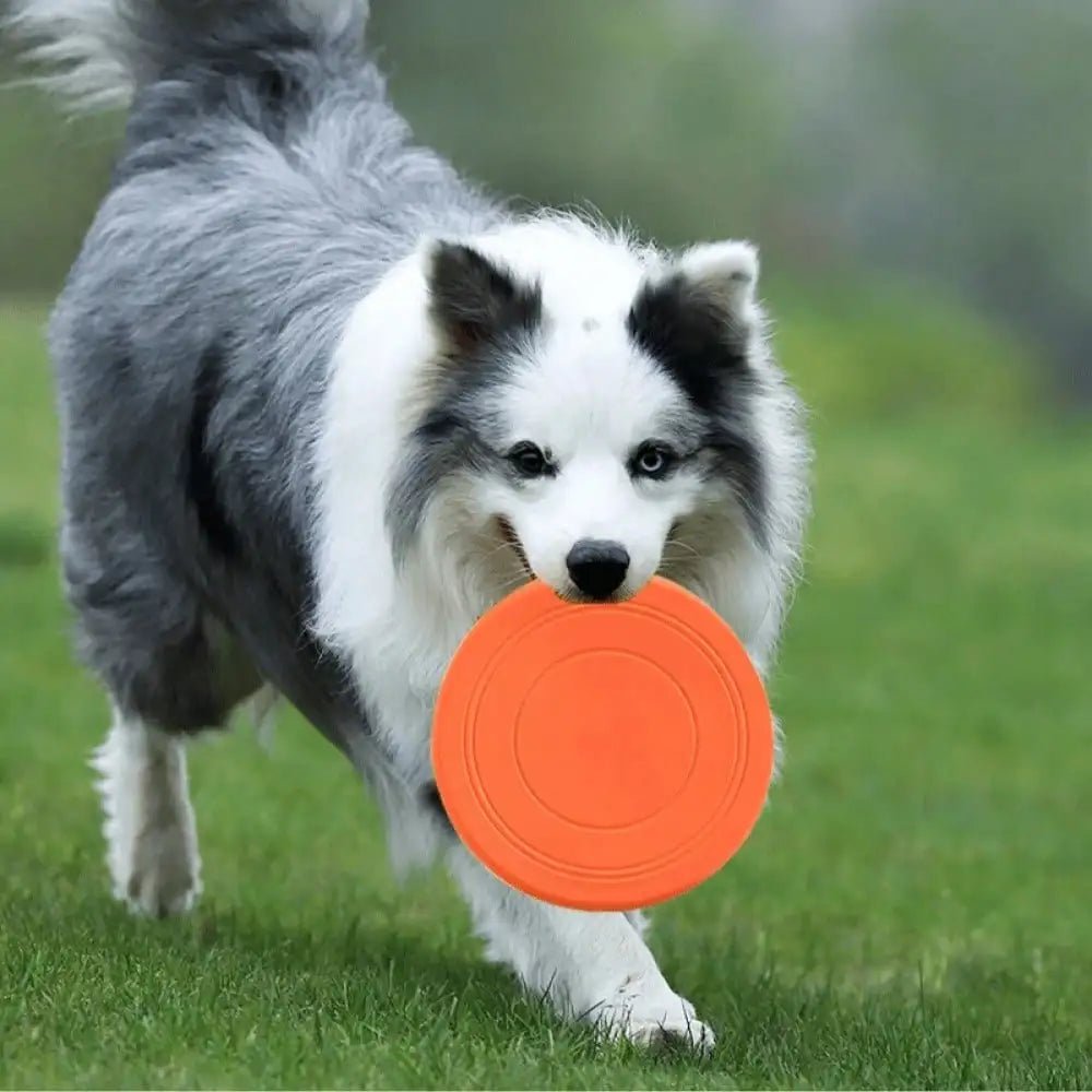Soft Anti Slip Silicone Dog Toys For Training And Play