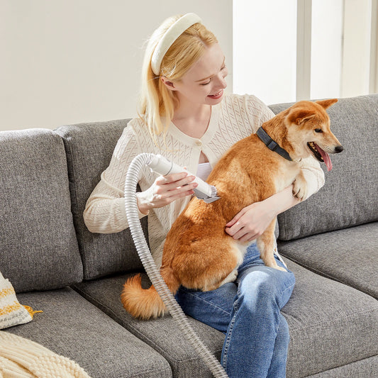 JHK Pet Grooming Vacuum Kit With Three Suction Modes