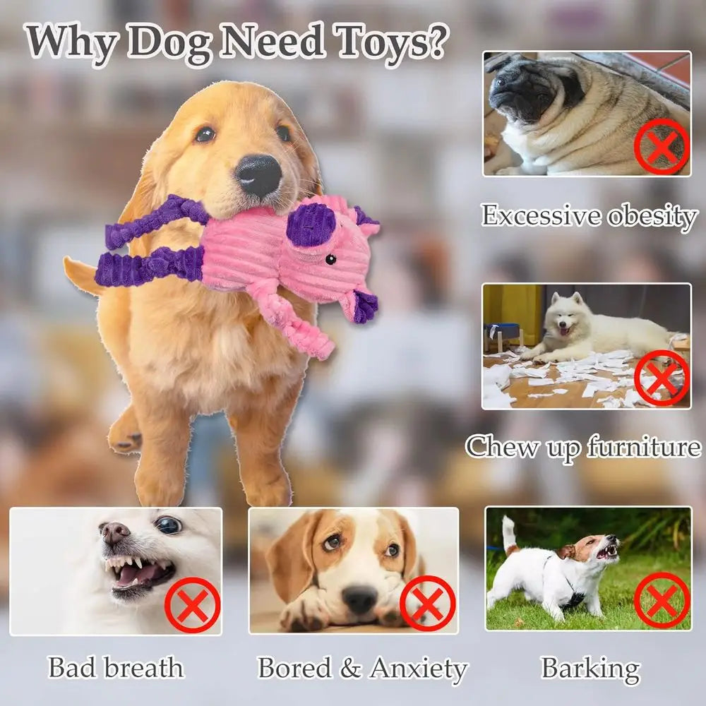 5 Pack Squeaky Plush Dog Toys Bundle Assorted Animal Toys