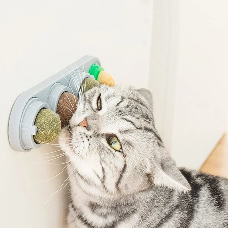Rotating Catnip Silver Vine Ball Toy For Teeth Cleaning