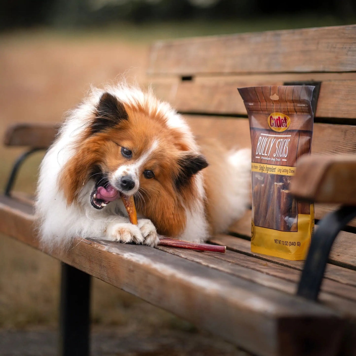 Bully Stick Dog Chews Natural Treat For Puppies And Breeds