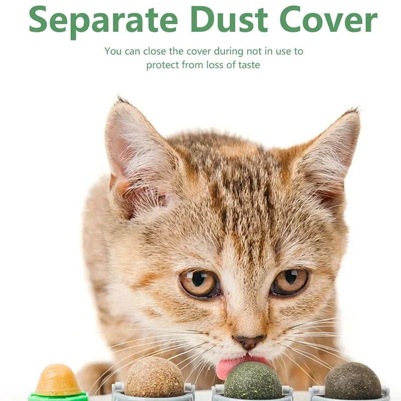 Rotating Catnip Silver Vine Ball Toy For Teeth Cleaning