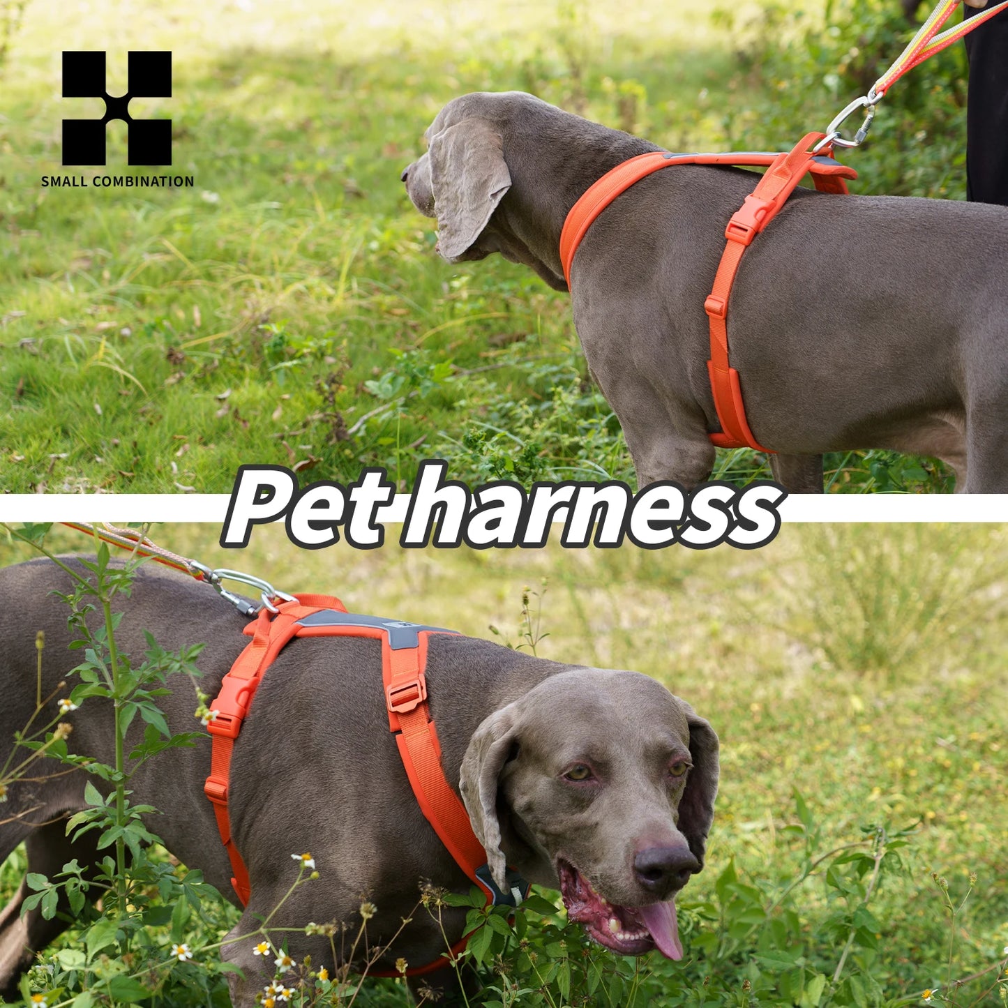Small Combination Reflective No Pull Dog Harness For All Dogs
