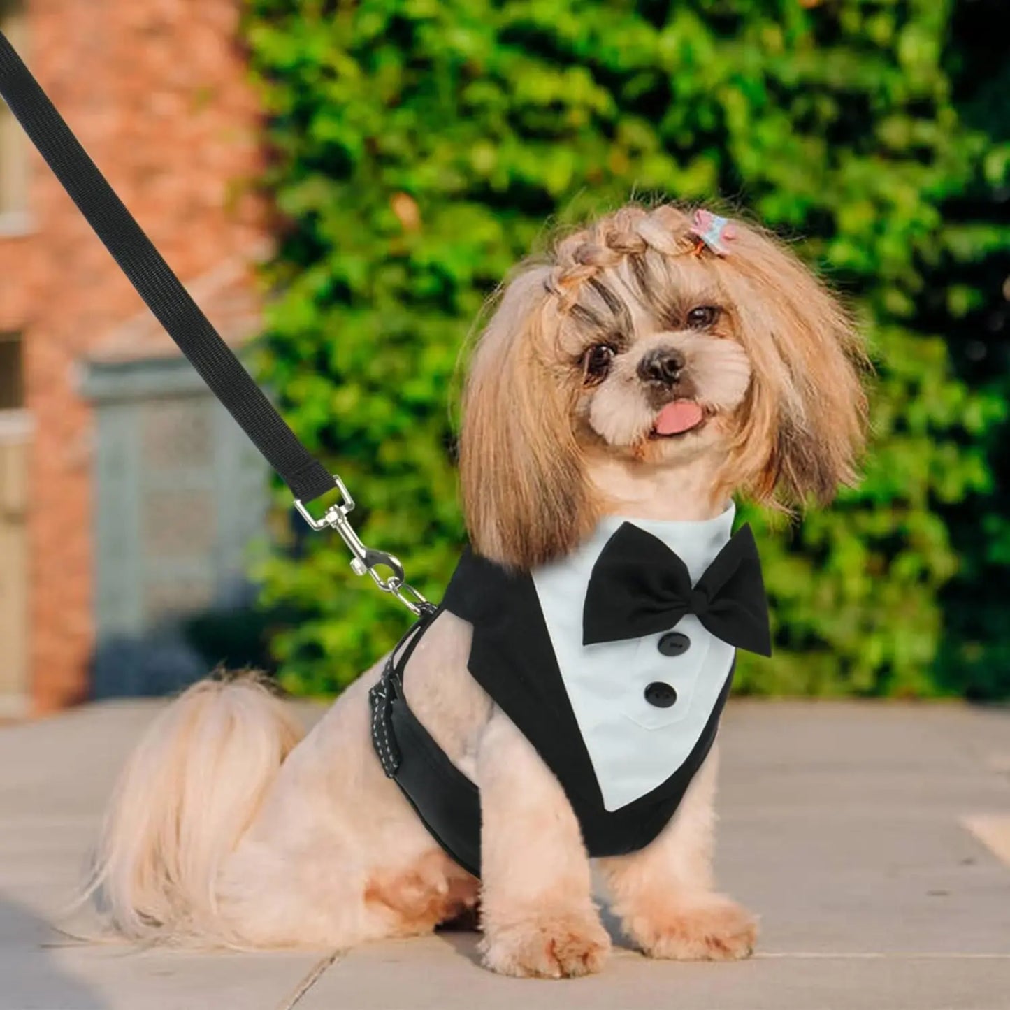 Hoopreety Dog Tuxedo Harness With Adjustable Bow Tie Vest