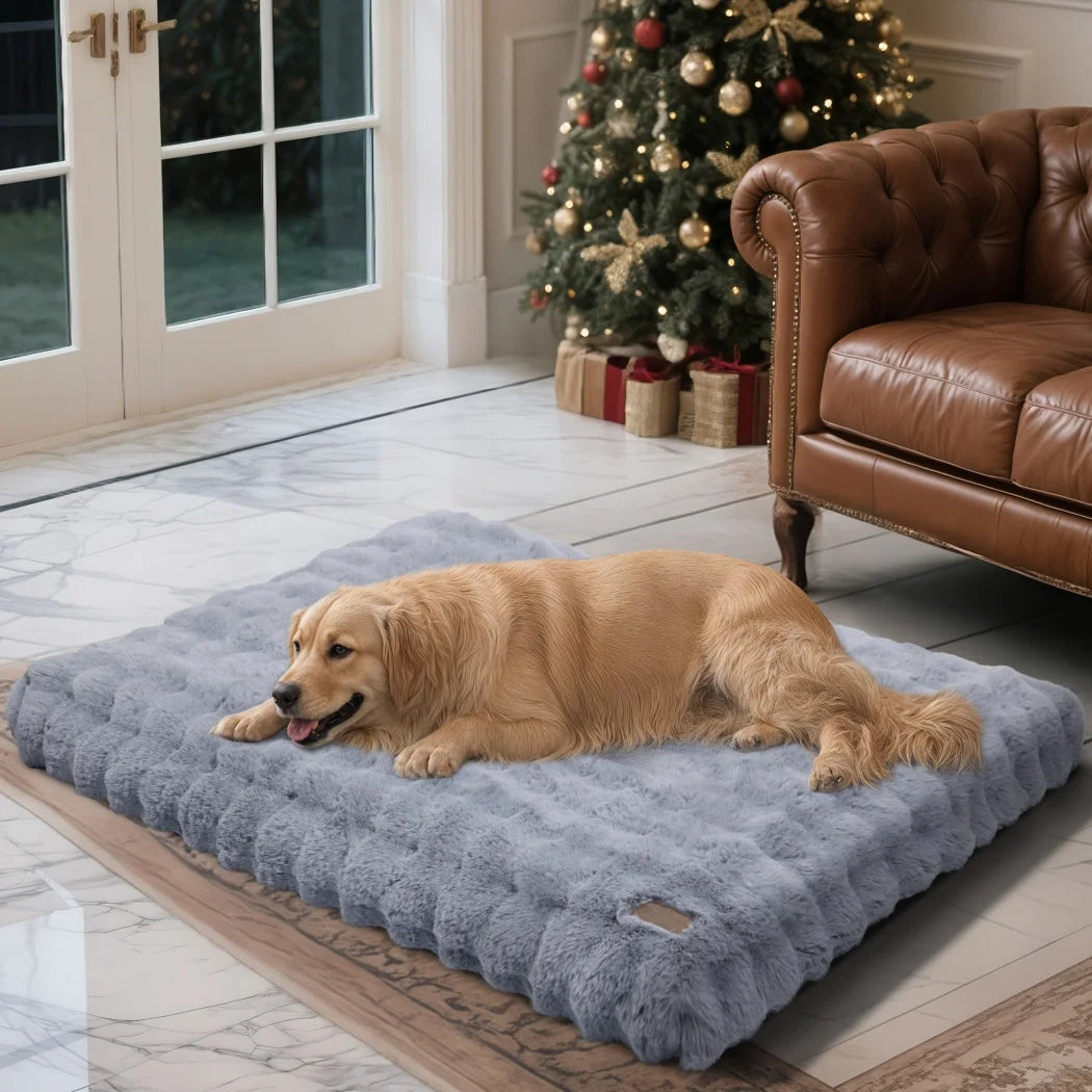 BORWART CN Ultra Plush Dog Bed For Dogs Washable Cushion
