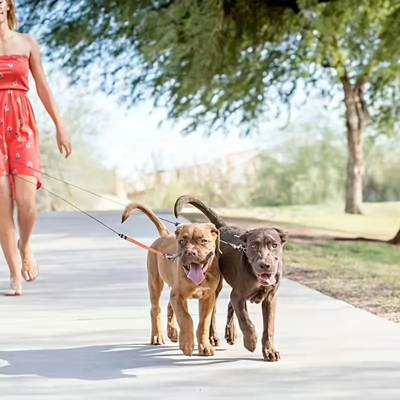 Self-Retracting Dual-Head Pet Leash For Two Dogs 360-Degree
