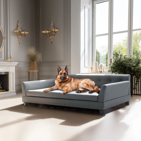 BINGOPAW Elevated Rectangle Dog Bed Sofa For Pets Durable Comfort