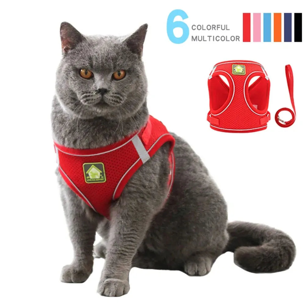 Breathable Cat Harness With Leash Anti Escape Vest For Kitten