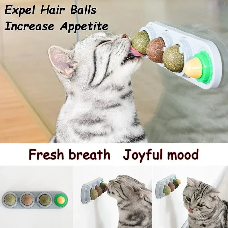 Rotating Catnip Silver Vine Ball Toy For Teeth Cleaning