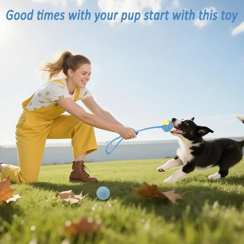 Puppy Chew Toys 20-Piece Bundle for Small Dogs Teething Fun