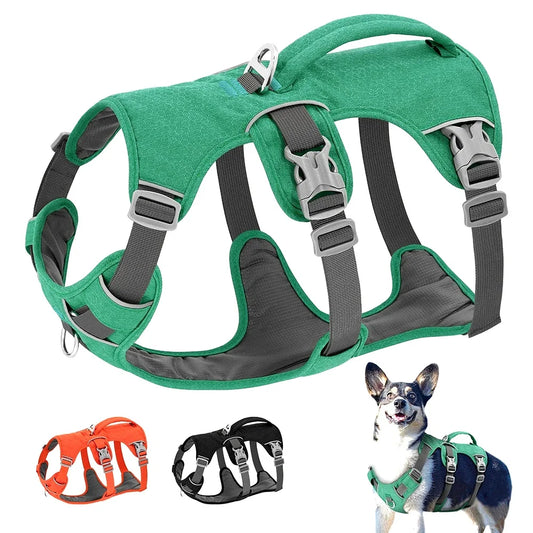 Escape Proof Nylon Dog Harness With Reflective Handle