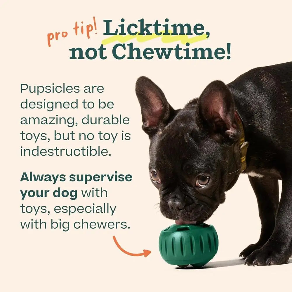 Interactive Dog Ball Toy for Busy Pups Safe and Durable