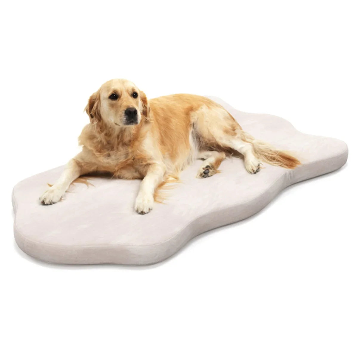 Orthopedic Memory Foam Dog Bed For Large Dogs Indoor Use