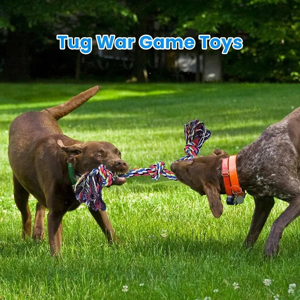 Heavy Duty Dog Rope Toy For Aggressive Chewers Two Pack