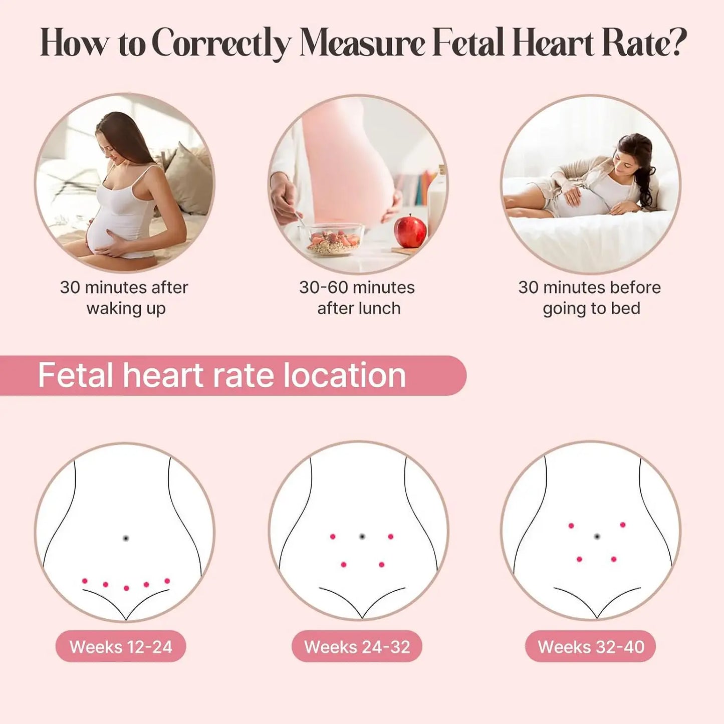 Wireless Pet Fetal Heart Monitor For Pregnant Dogs And Cats