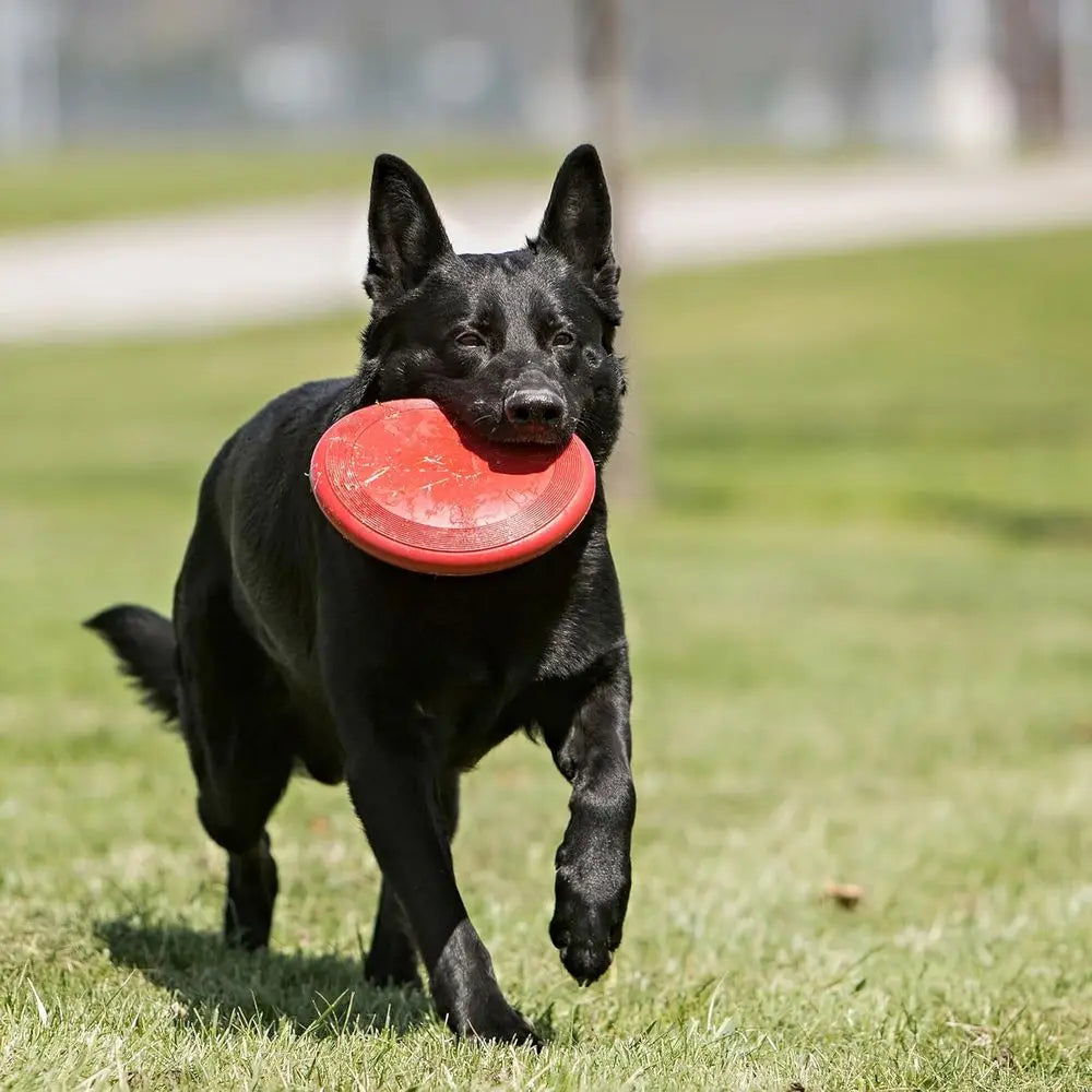 Durable Natural Rubber Disc Dog Toy For Safe Chewing And Fetch