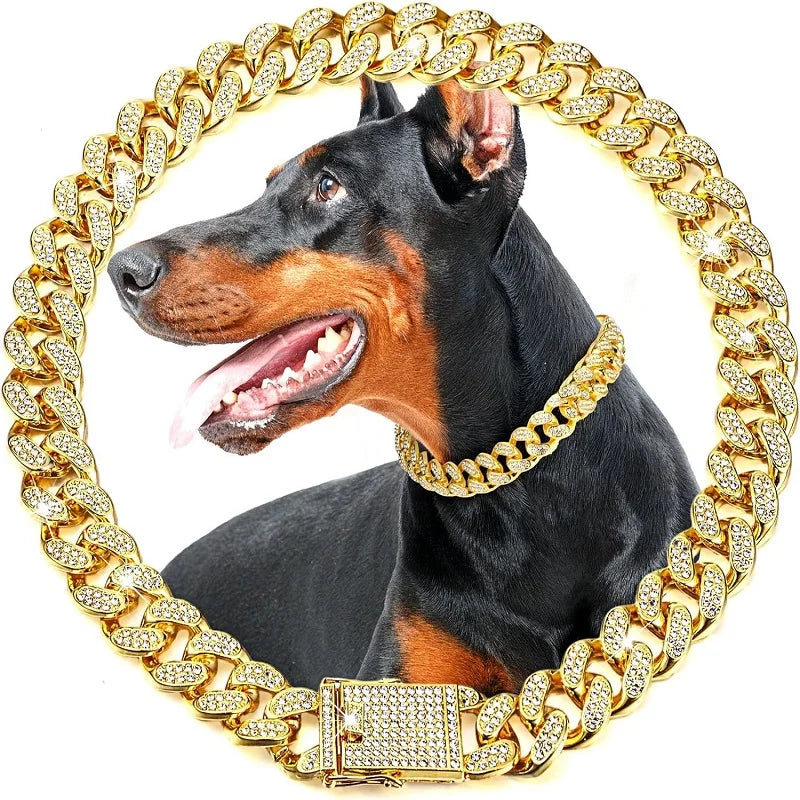 Stainless Steel Jeweled Dog Chain Collar Pet Jewelry Accessory