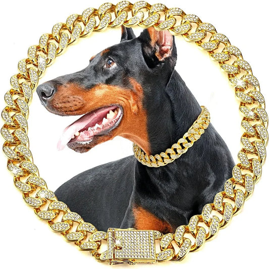 Stainless Steel Jeweled Dog Chain Collar Pet Jewelry Accessory