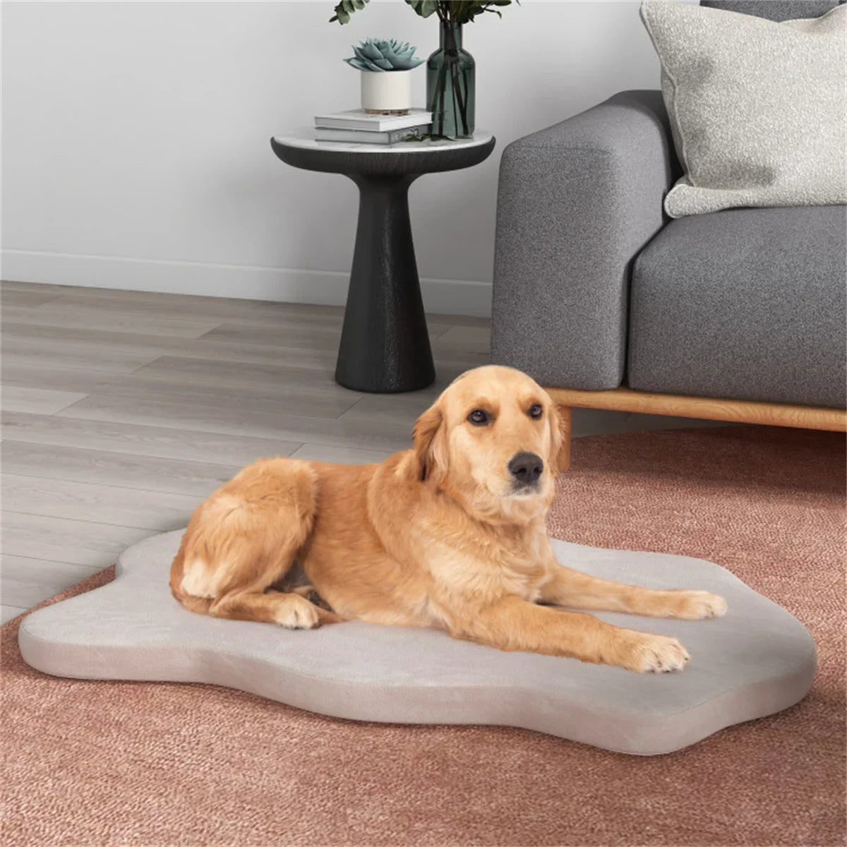 Orthopedic Memory Foam Dog Bed For Large Dogs Indoor Use