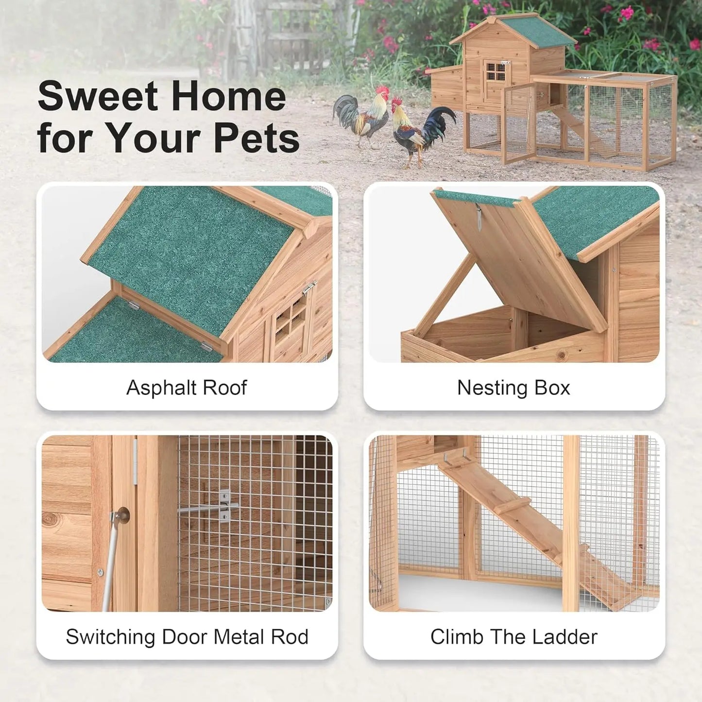 Wooden Outdoor Chicken Coop For Two To Four Chickens With Ramp