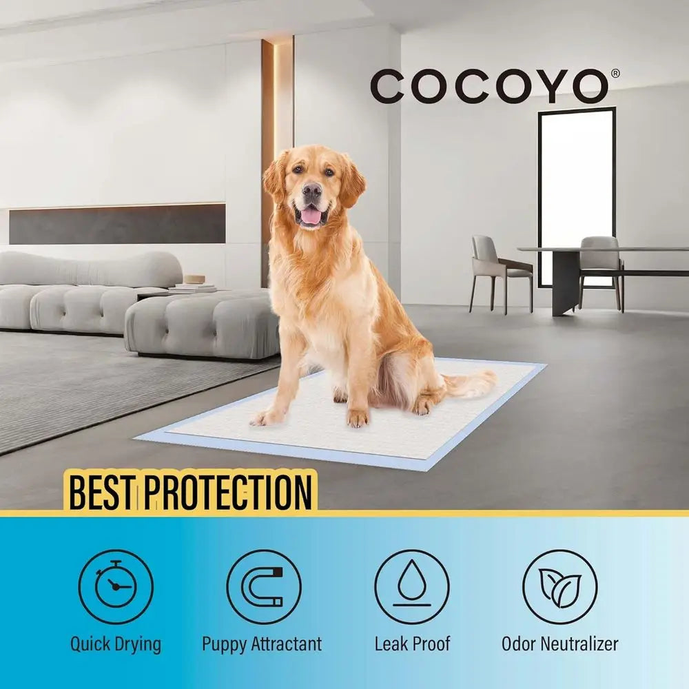 Premium Dog Training Pads 30 Count Urine Odor Eliminating Pack