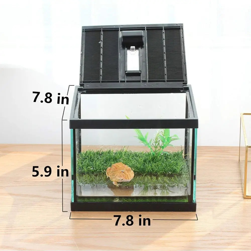 Compact Glass Terrarium Kit for Tadpoles and Insects