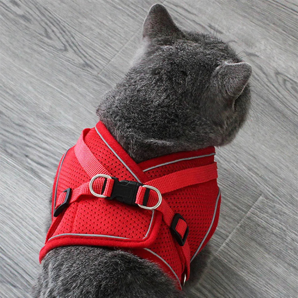 Breathable Cat Harness With Leash Anti Escape Vest For Kitten