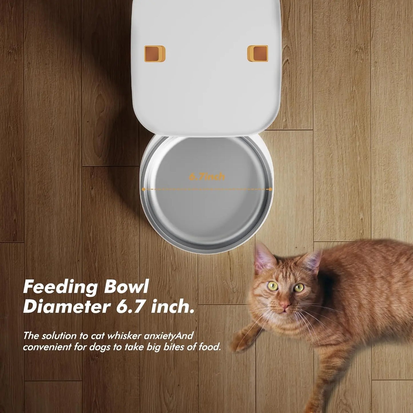 Nityers Automatic Cat Feeder With Key Control Voice Recorder