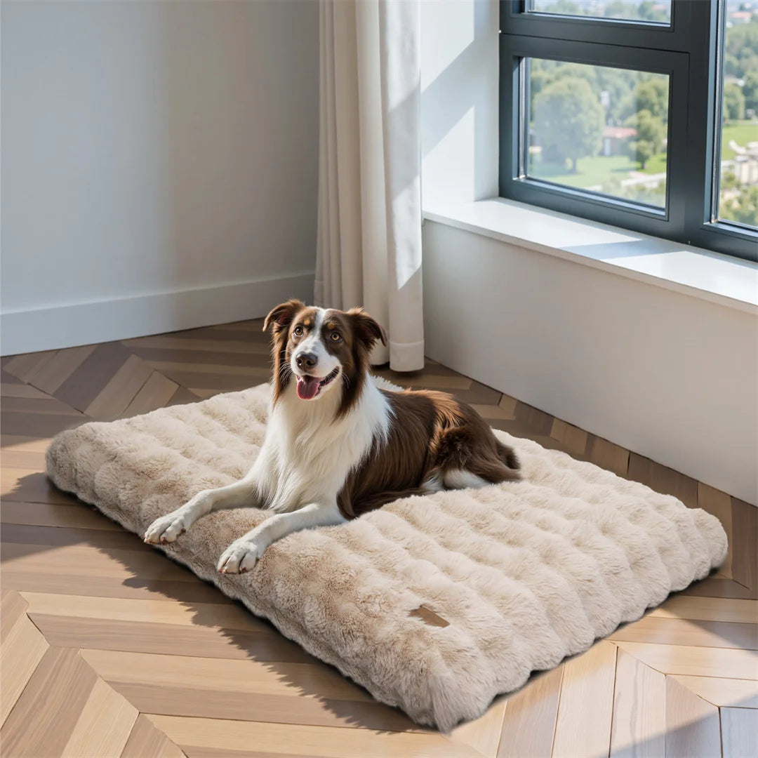 BINGOPAW Ultra Soft Dog Bed With Removable Cover For Pets