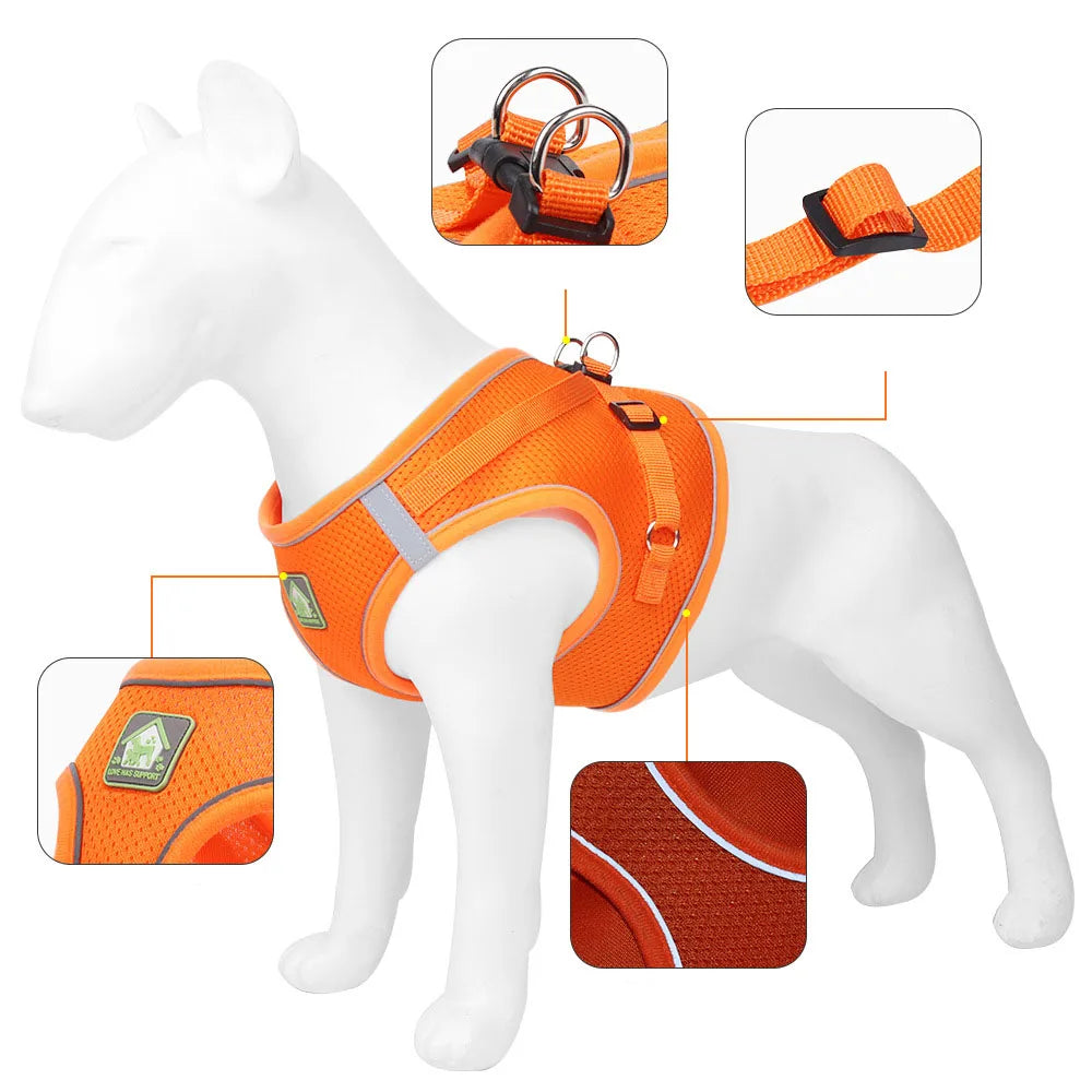 Breathable Cat Harness With Leash Anti Escape Vest For Kitten