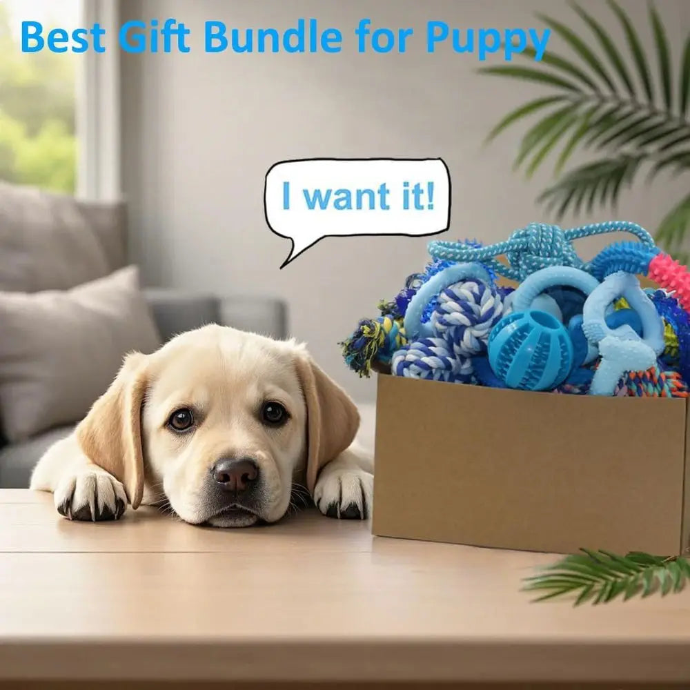 Puppy Chew Toys 20-Piece Bundle for Small Dogs Teething Fun