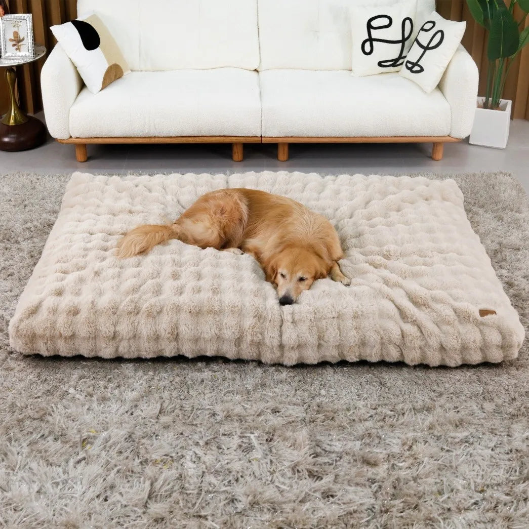 BORWART CN Ultra Plush Dog Bed For Dogs Washable Cushion