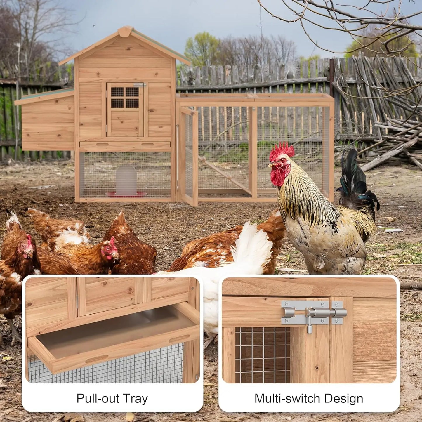 Wooden Outdoor Chicken Coop For Two To Four Chickens With Ramp