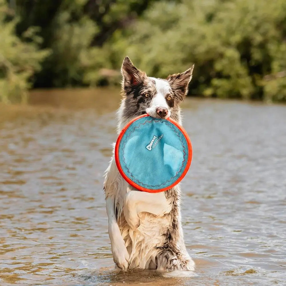 Paralight Lying Disc Dog Toy With Floating Water Layer