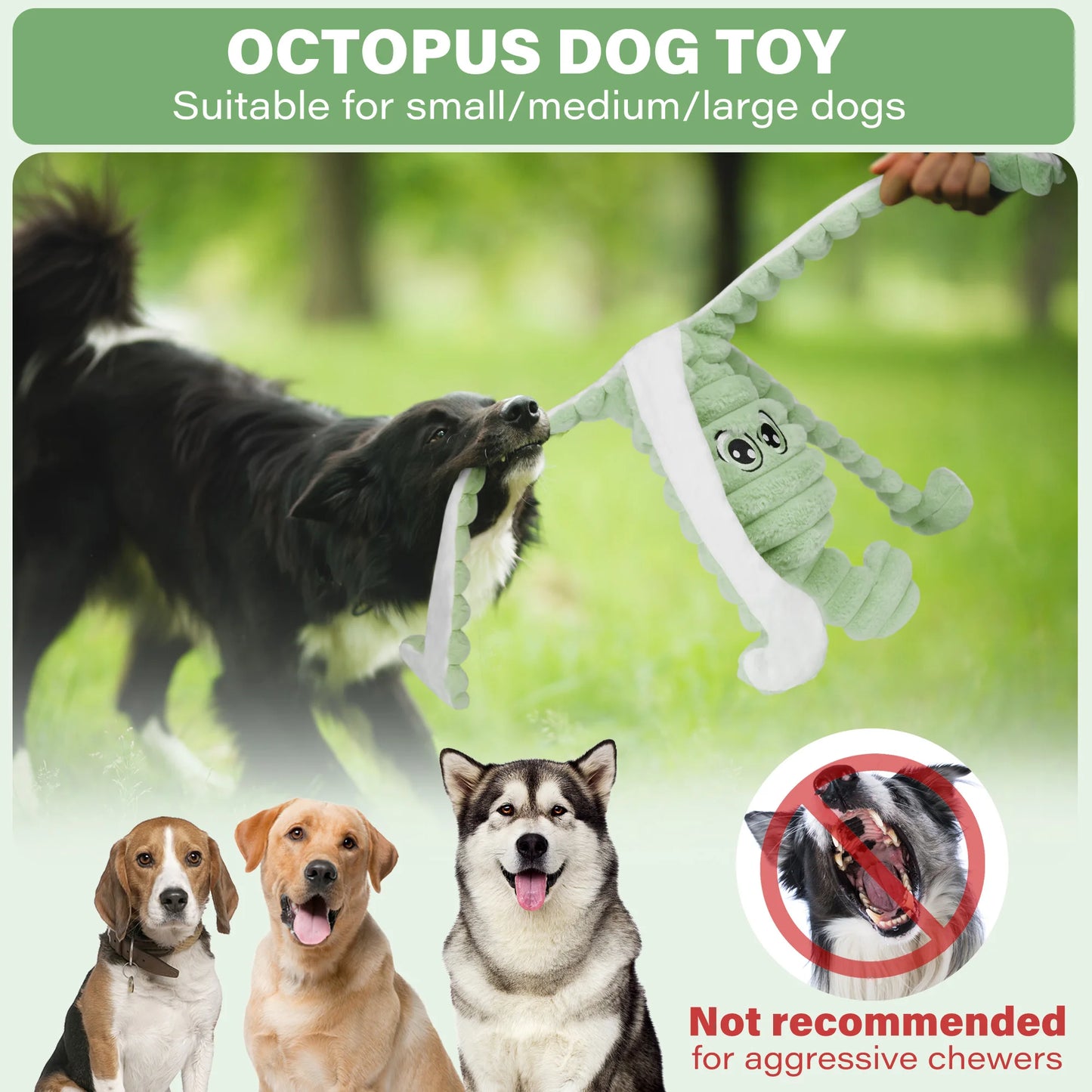 Premium Squeaky Plush Chew Toy For Small And Medium Dogs
